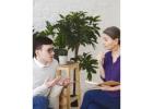 Private Therapist in San Francisco