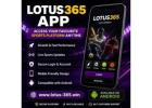 Lotus365 App – Access Your Favourite Sports Platform Anytime