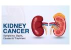kidney Cancer Treatments in Bangalore | World of Urology