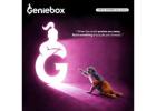 DevOps Course in Chennai | GenieBox Academy