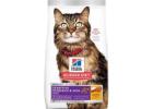 Hills Cat Food for Complete Everyday Feline Nutrition