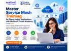 Master Service Mesh Training for Cloud-Native Applications with Multisoft Virtual Academy