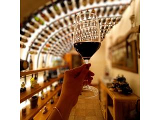 What is the best food tasting and wine pairing in Rome?