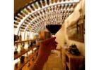 What is the best food tasting and wine pairing in Rome?
