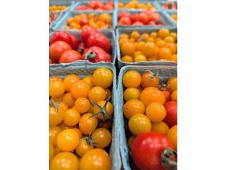 Enjoy Artisan Treats from a Gourmet Plant Based Bakery