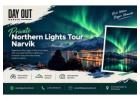 Why Choose a Private Tour to See the Northern Lights in Narvik?