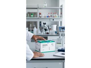 KRAS Mutation Real-Time PCR Detection Kit