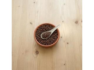 Cauliflower Microgreen Seeds – Fresh, Nutritious & Easy to Grow