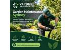 Garden Maintenance Sydney – Professional Outdoor Care by Verdure Landscapes