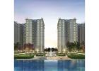 SOBHA Scarlet in Sarjapur Road Bangalore