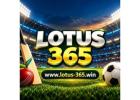 Lotus 365 – Explore an Online Entertainment Platform