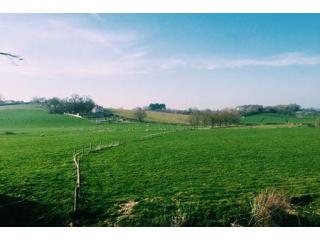 What Should You Check Before Buying a Farmhouse in Naugaon?