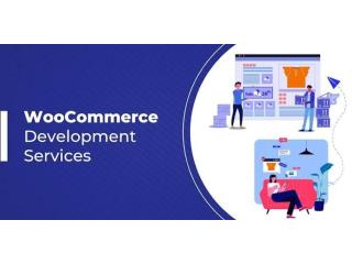Woo-Commerce Development Services make the strong presence of your business