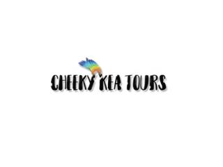 Enjoy Whale Watching Kaikoura New Zealand | Cheeky Kea Travel