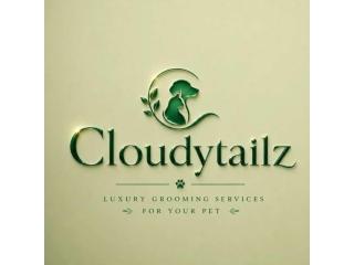 Trusted Cat & Pet Grooming Services in Mumbai