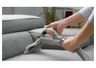 Sofa Cleaning Services in Noida