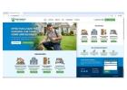 How Pest Control Website Design Can Present Pest Activity Patterns