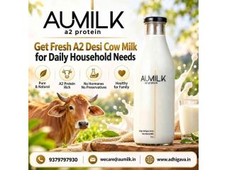 Get Fresh A2 Desi Cow Milk for Daily Household Needs