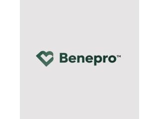 BENEPRO The Benefit Professionals