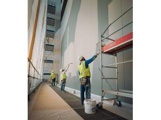 Professional Painting Services You Can Trust