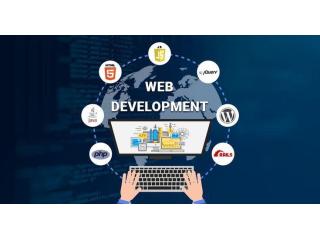 Top Web Development Company in USA | Zigboxx Studios
