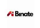 Binate ai - Shaping the Future of Technology with AI