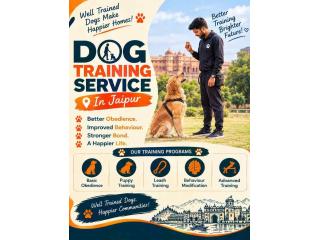 Dog Training Service