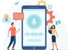 Voice API for Business Communication