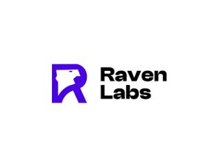 Web Development Agencies in Australia - Raven Labs Australia