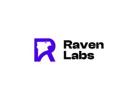 Web Development Agencies in Australia - Raven Labs Australia