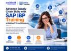 Advance Supply Chain Skills with SAP IBP Training at Multisoft Virtual Academy