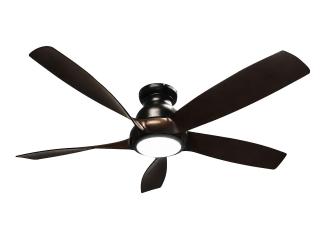 Premium Visual Appeal Designer Fan