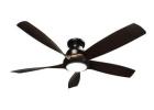 Premium Visual Appeal Designer Fan