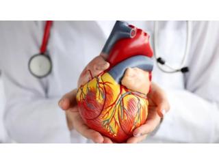 Heart Doctor Near Me – Cardiologist Consultation