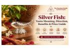 Buy Silver Fish Online at Best Price | The Stardust Studio