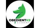 Obedient K9 Academy