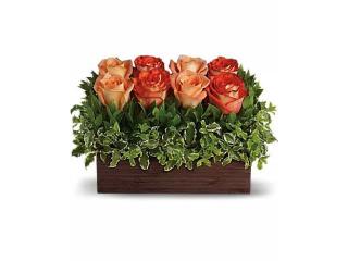 New Baby Flower Delivery in McLean, VA | Welcome Baby Bouquets