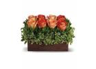 New Baby Flower Delivery in McLean, VA | Welcome Baby Bouquets
