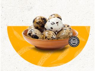 Fresh & Quality Eggs Provider in Singapore