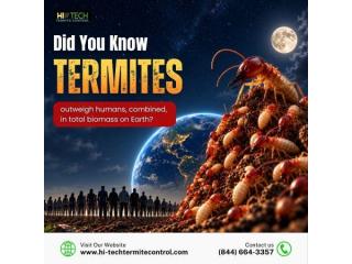 Did you know termites outweigh humans?