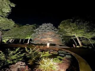 Outdoor Lighting in Fort Lauderdale