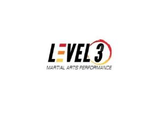 Level 3 Martial Arts Performance