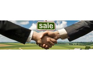 Business Consulting Spain for Clearer Commercial Decisions