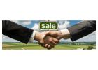 Business Consulting Spain for Clearer Commercial Decisions 