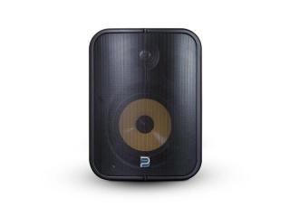 Buy Bluesound Professional BSP1000 PoE Outdoor Speaker