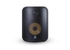 Buy Bluesound Professional BSP1000 PoE Outdoor Speaker