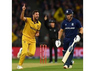 Icc Best All-rounder | Cricketer.io