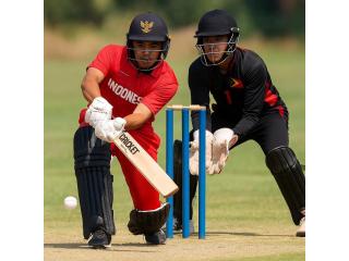 All Cricket Series | Cricketer.io