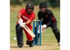 All Cricket Series | Cricketer.io