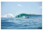 Private Tours Tenerife | Privatetourtenerife.com